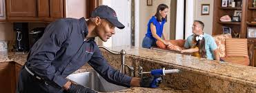 Professional Pest control in Castle Rock, WA